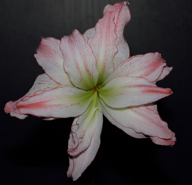 IMG_3278 копия.jpg