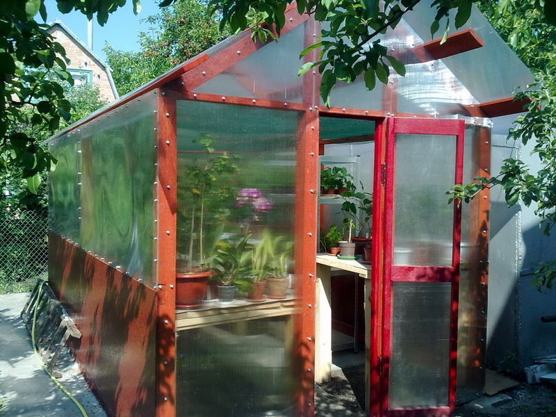 цветики дача 075.jpg