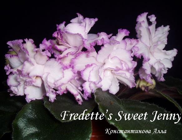 Fredette’s Sweet Jenny1.JPG