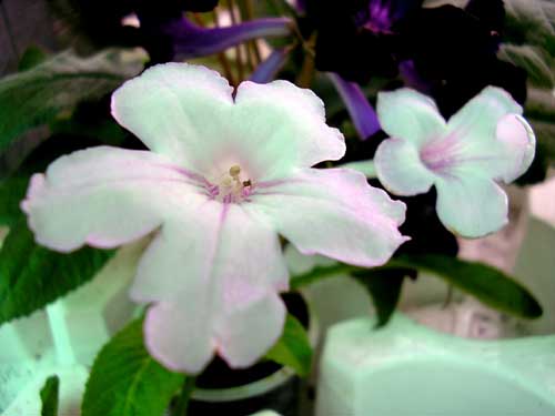 А это его спорт