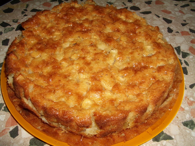 2005 10 23 eda - pirog yabl 01.jpg