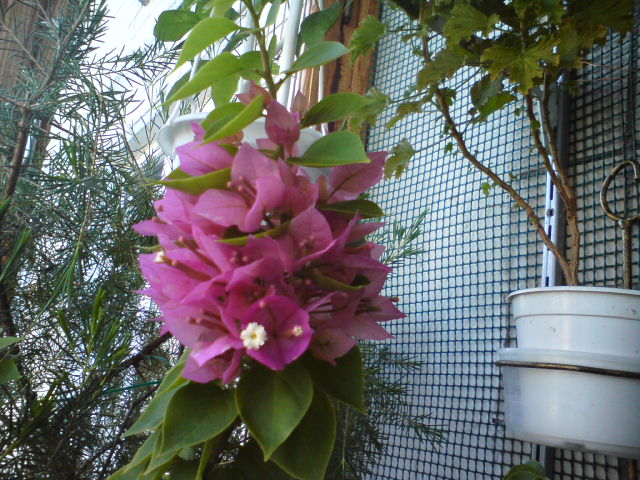 Не такая уже и Мини