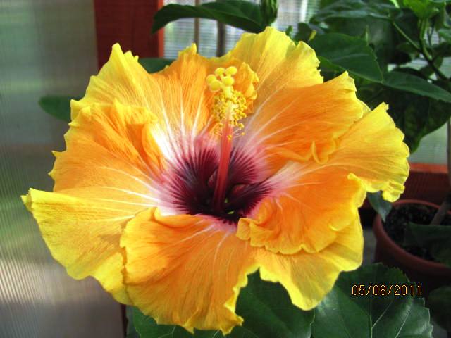 это что то 092.jpg