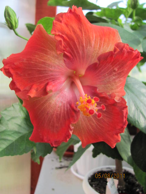 это что то 093.jpg