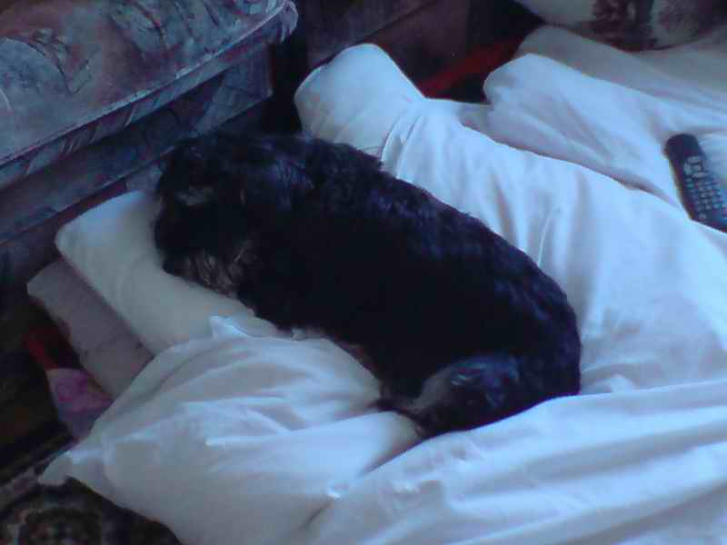 Вот так мы спим :)