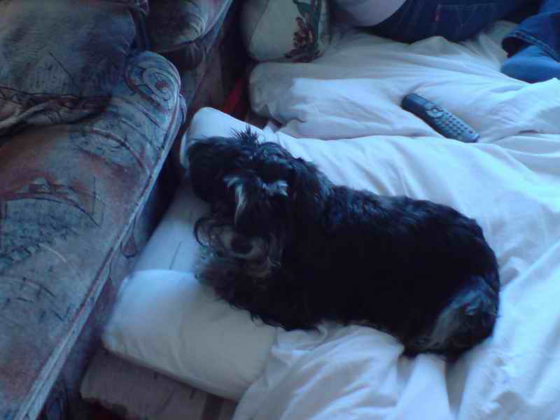 Эй, чего разбудили, чего надо ваще?