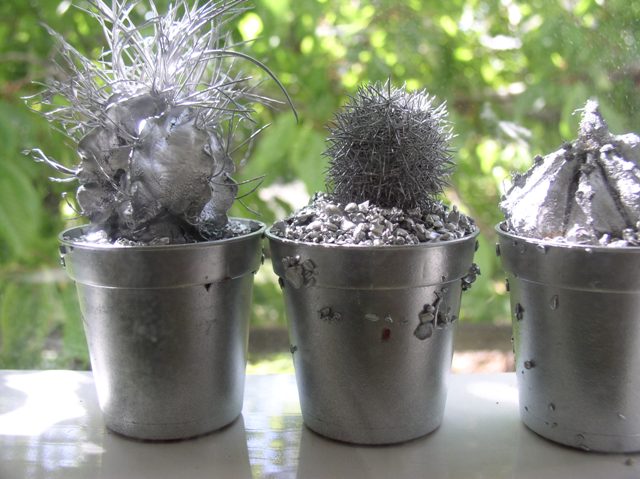 Это мумии.., или лучше - памятники жертвам тридцатиградусного мороза.