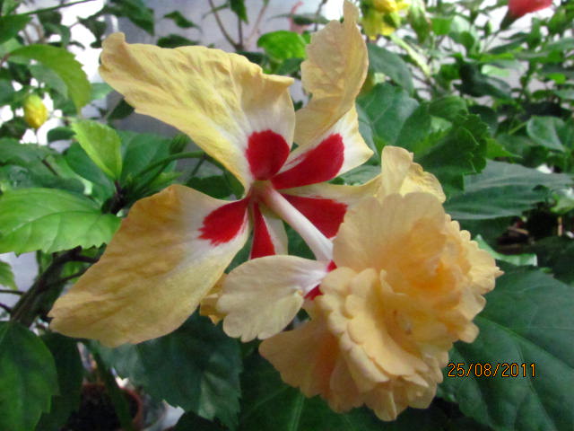 спорт оф спорт