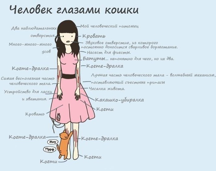 человек глазами кошки.jpg