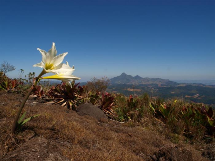 Пик Forno Grande.jpg