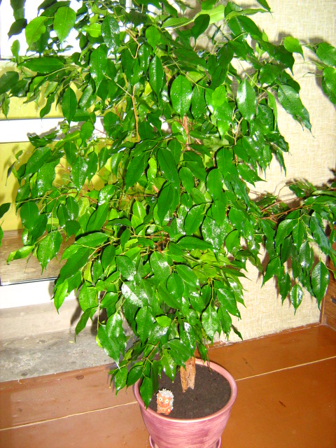 Изображение 044.jpg