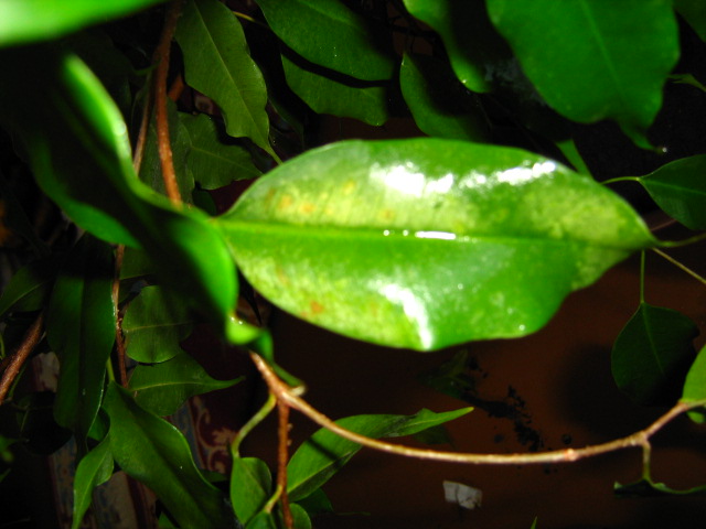 Изображение 053.jpg