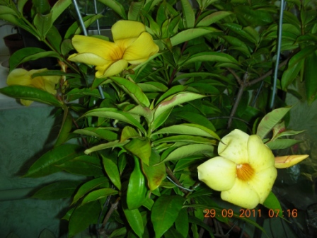 Копия zfjq 018.jpg