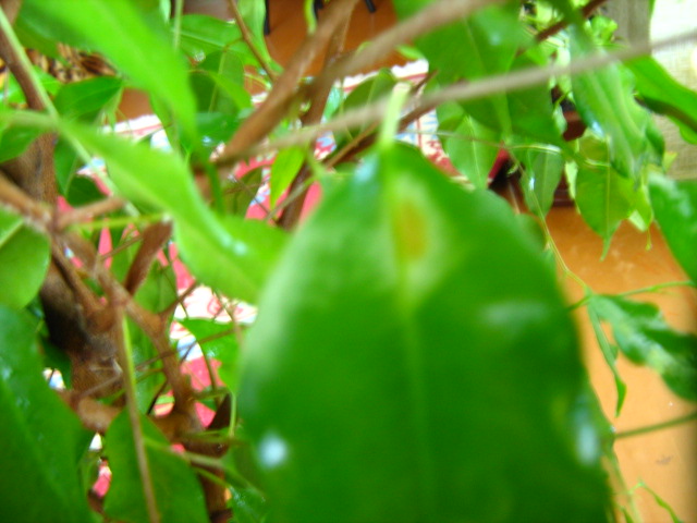 Изображение 056.jpg