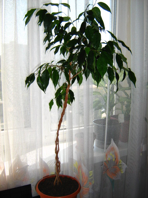 Изображение 035.jpg