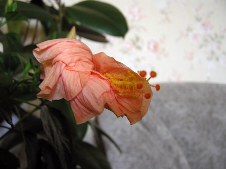 никто не вечен