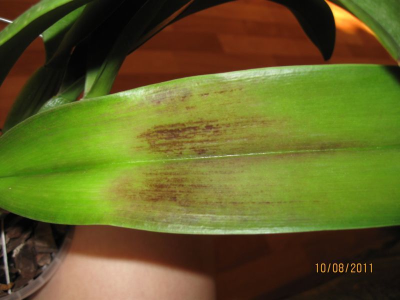 Изображение 641.jpg