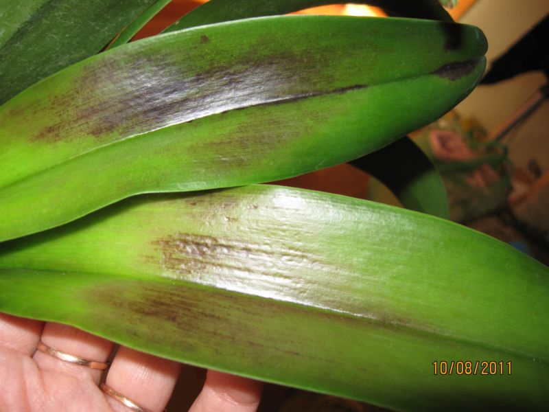 Изображение 648.jpg