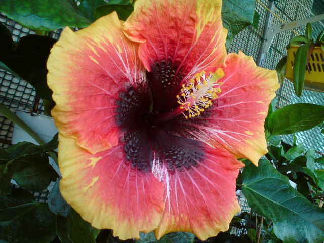 2-1 день - утро