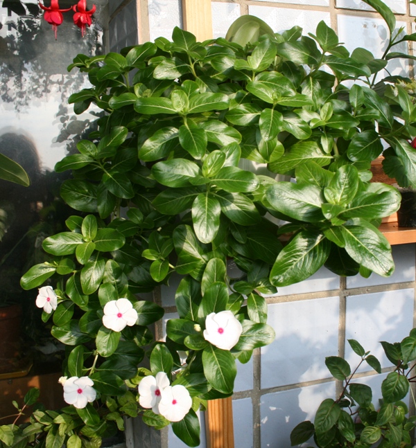 Копия IMG_4098.jpg