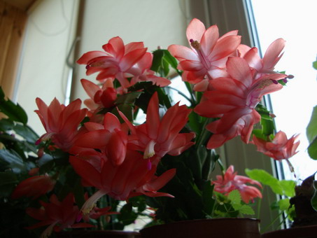 Изображение 624.jpg