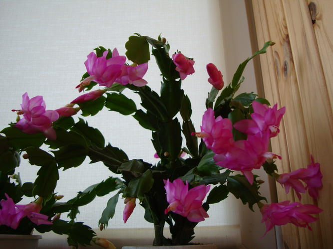 Изображение 628.jpg