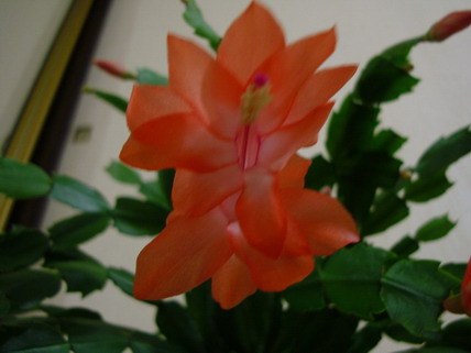 Изображение 844.jpg