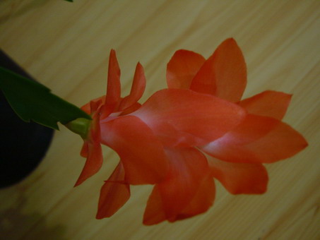 Изображение 846.jpg