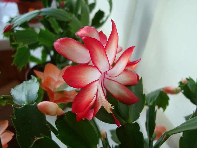 Изображение 883.jpg