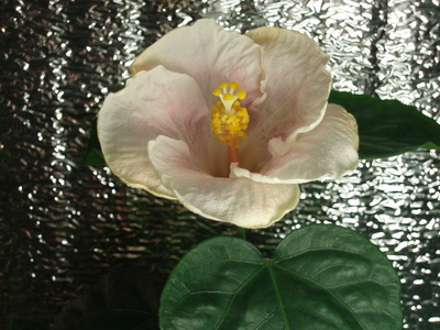 Изображение 120.jpg