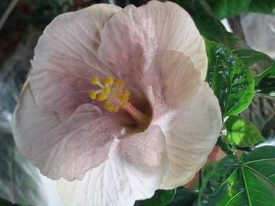 Изображение 076.jpg