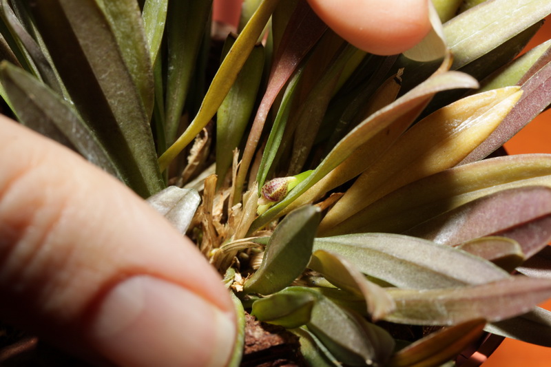 Подарок на НГ :)