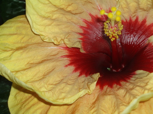 Изображение 145.jpg