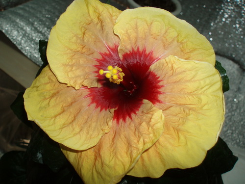 Изображение 139.jpg