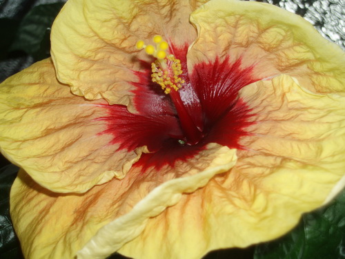 Изображение 144.jpg