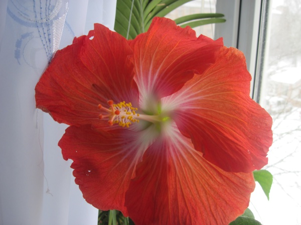 Второй день