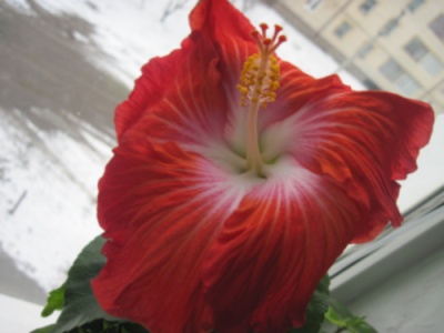 Первый день