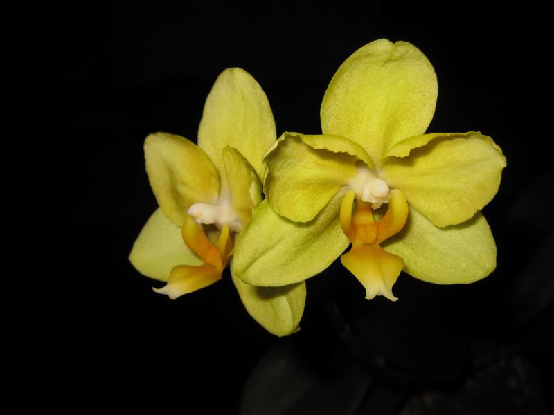 Resize of IMG_6420.JPG