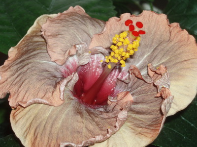 Изображение 193.jpg