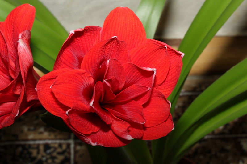 IMG_5057_новый размер.JPG