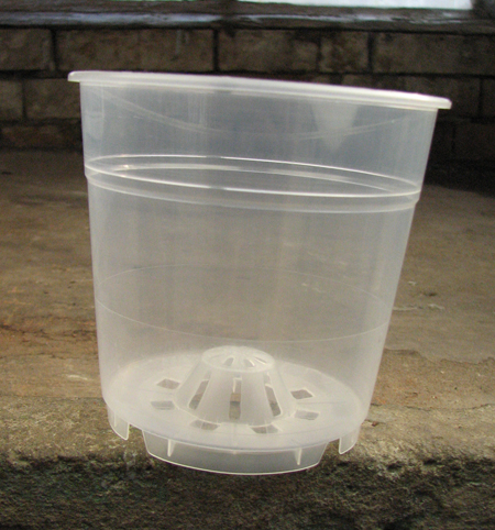 Вазон прозрачный (с внутренним аэрационным конусом) 12 см.jpg