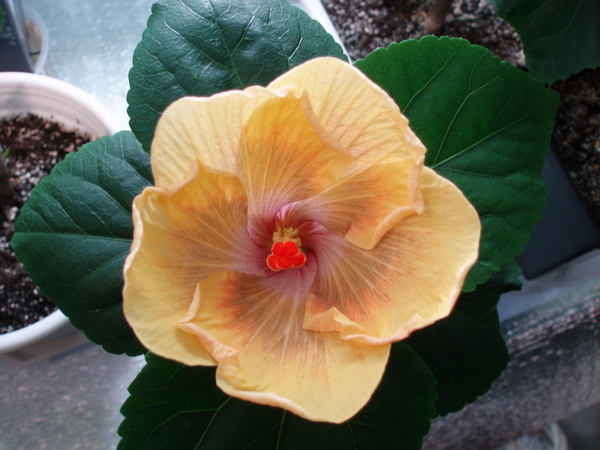 Изображение 216.jpg