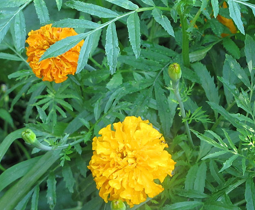 Изображение 302.jpg