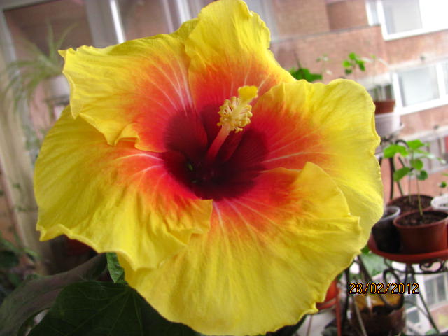 премьерки 005.jpg