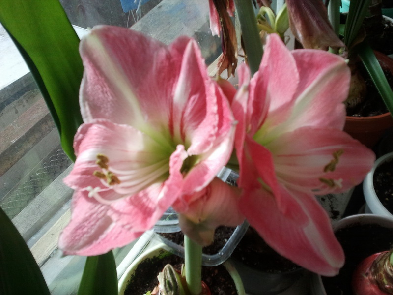 2012-03-04 14.00.45_новый размер.jpg