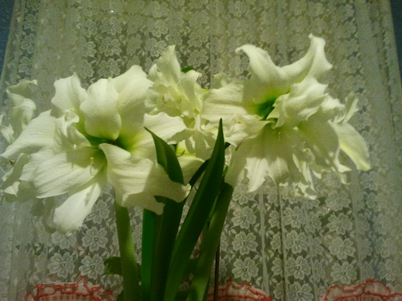 Здесь при вечернем свете.