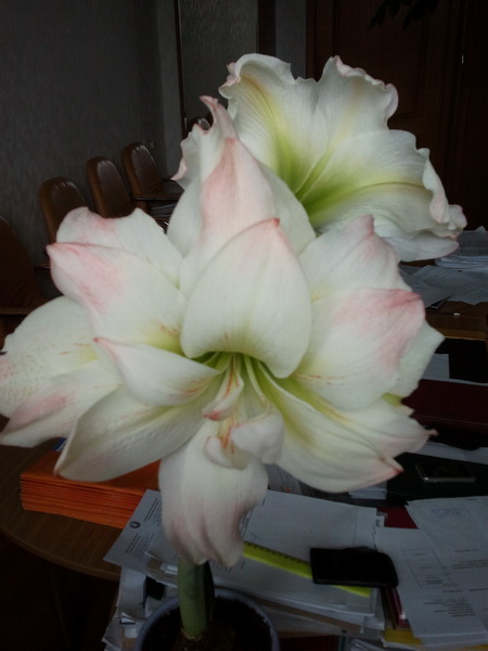 2012-03-14 16.02.21_новый размер.jpg