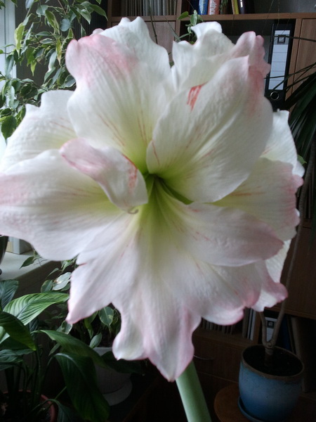 2012-03-14 15.59.51_новый размер.jpg