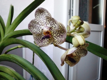 2012-03-14 06.31.03.jpg