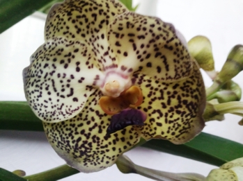 2012-03-13 06.43.05.jpg